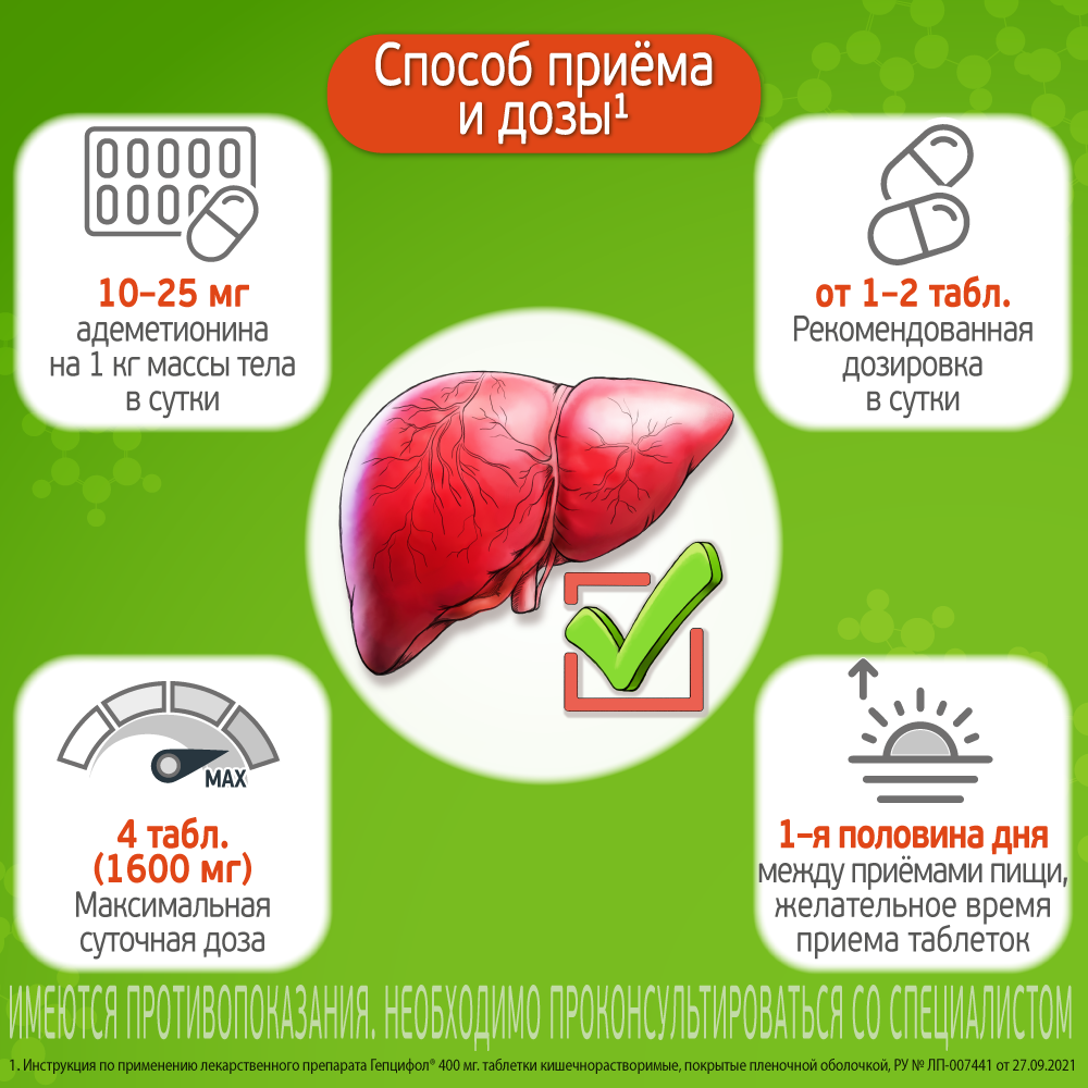 Гепцифол, 400 мг, таблетки, покрытые кишечнорастворимой оболочкой, 20 шт.